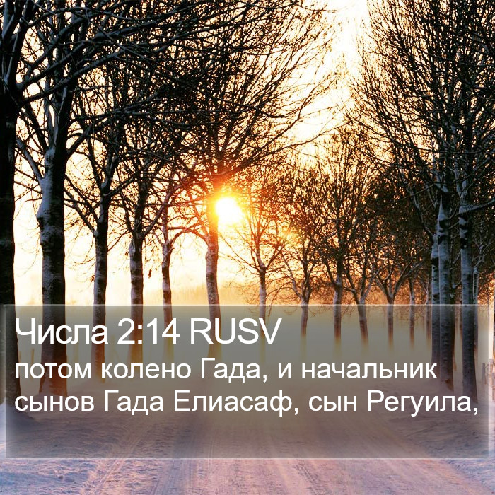 Числа 2:14 RUSV Bible Study