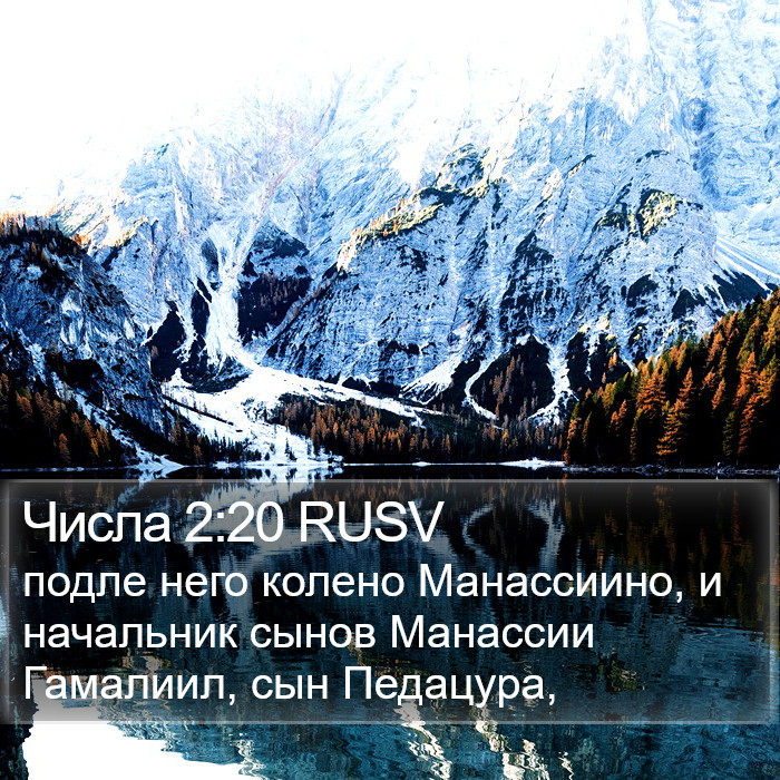 Числа 2:20 RUSV Bible Study