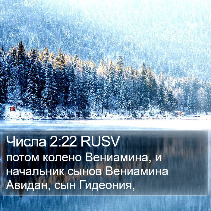 Числа 2:22 RUSV Bible Study