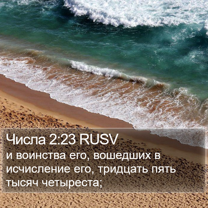 Числа 2:23 RUSV Bible Study