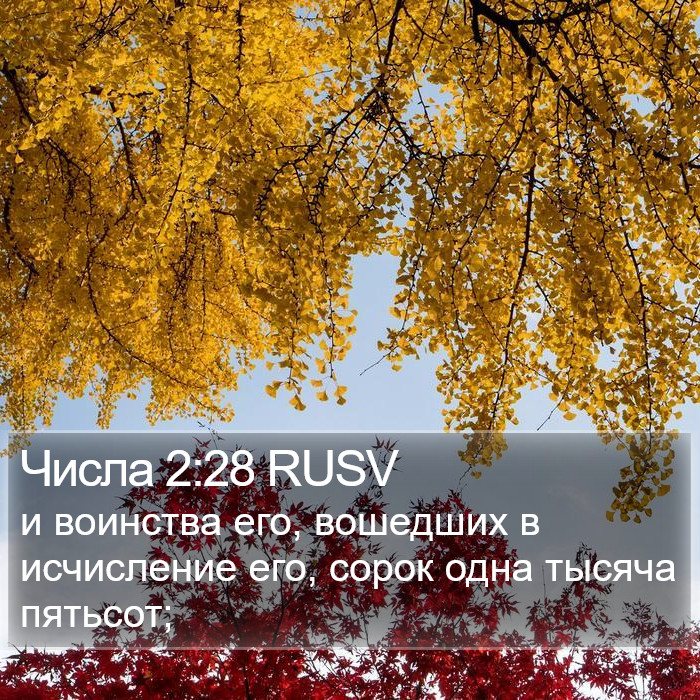 Числа 2:28 RUSV Bible Study