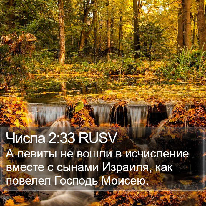 Числа 2:33 RUSV Bible Study