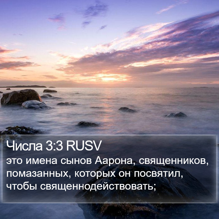 Числа 3:3 RUSV Bible Study