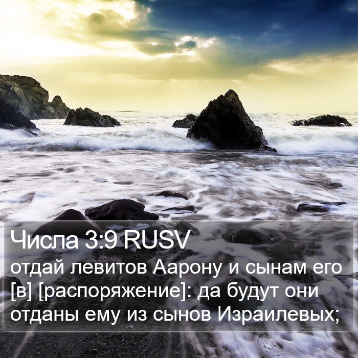 Числа 3:9 RUSV Bible Study