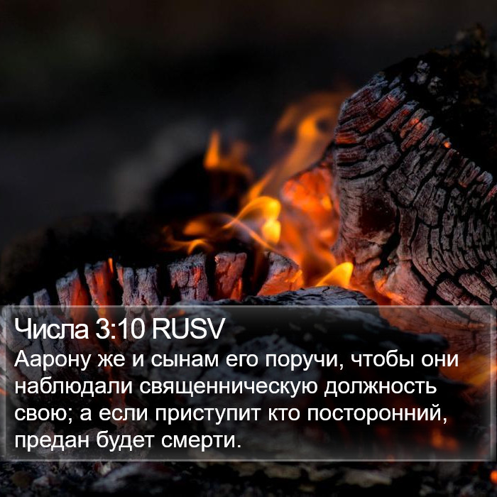 Числа 3:10 RUSV Bible Study