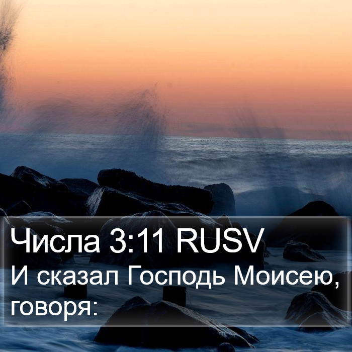 Числа 3:11 RUSV Bible Study