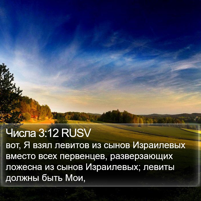 Числа 3:12 RUSV Bible Study