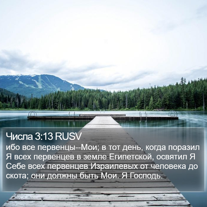 Числа 3:13 RUSV Bible Study