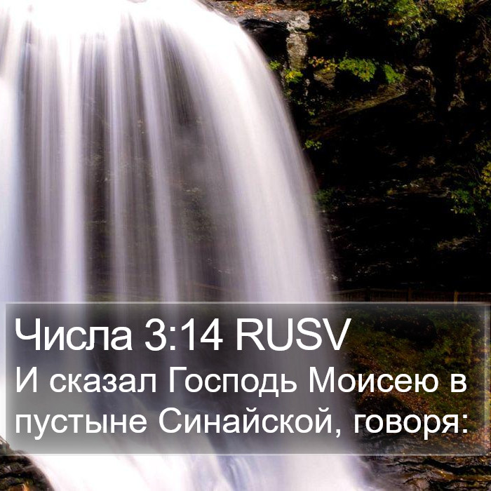 Числа 3:14 RUSV Bible Study