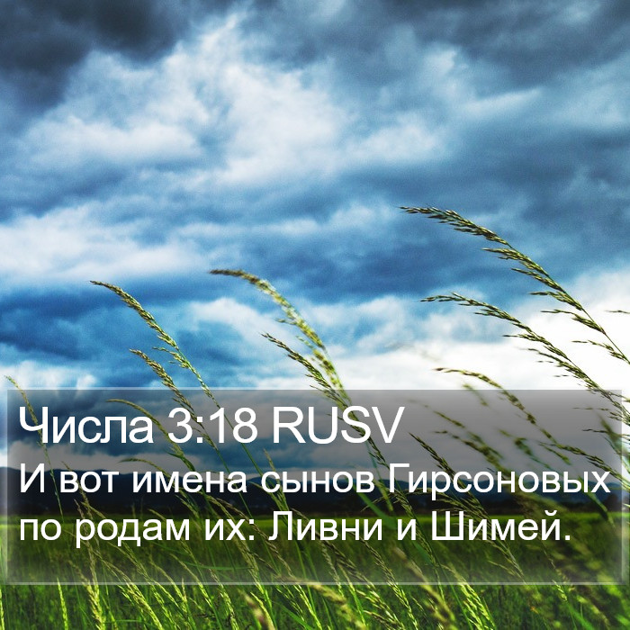 Числа 3:18 RUSV Bible Study