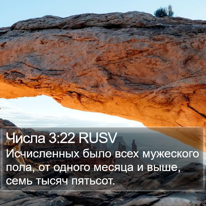 Числа 3:22 RUSV Bible Study