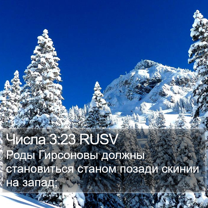 Числа 3:23 RUSV Bible Study