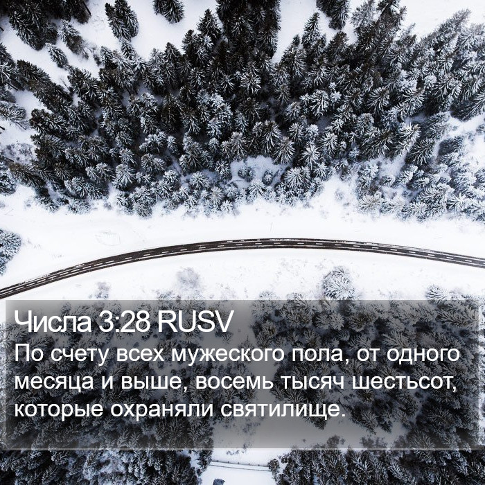 Числа 3:28 RUSV Bible Study