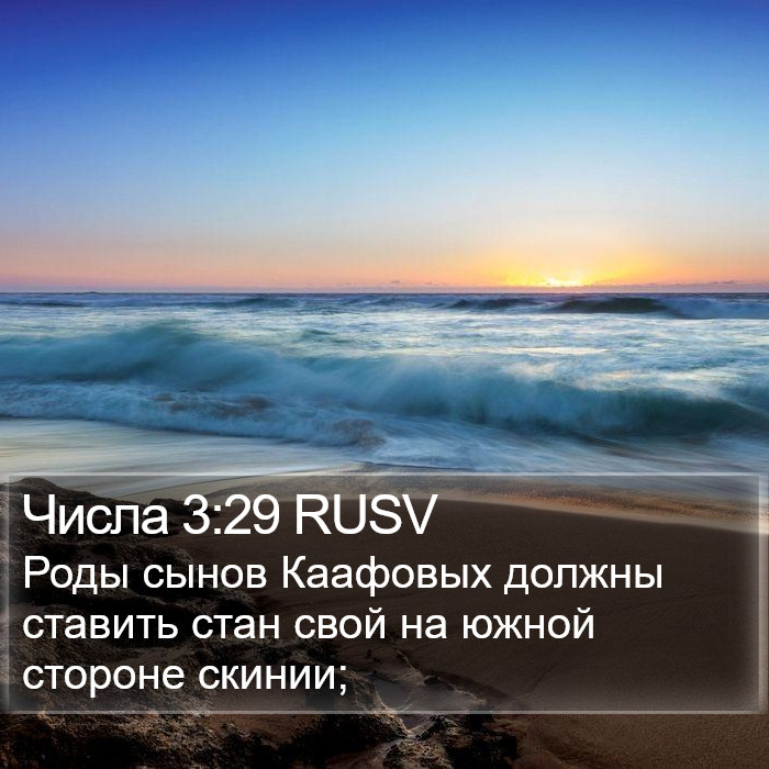 Числа 3:29 RUSV Bible Study