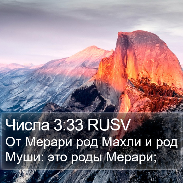 Числа 3:33 RUSV Bible Study