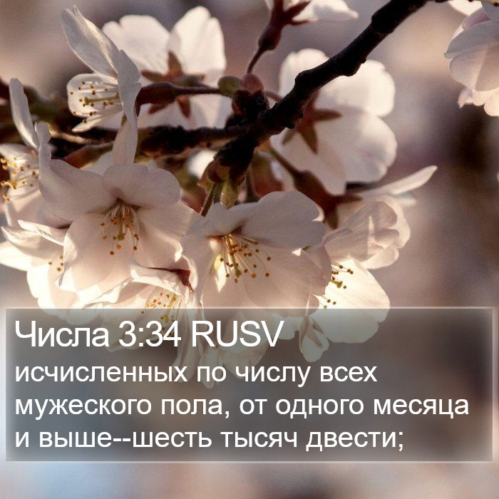 Числа 3:34 RUSV Bible Study