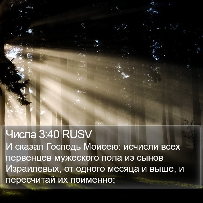 Числа 3:40 RUSV Bible Study