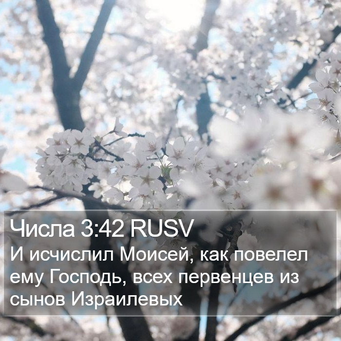 Числа 3:42 RUSV Bible Study