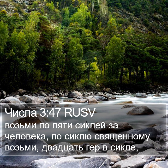 Числа 3:47 RUSV Bible Study