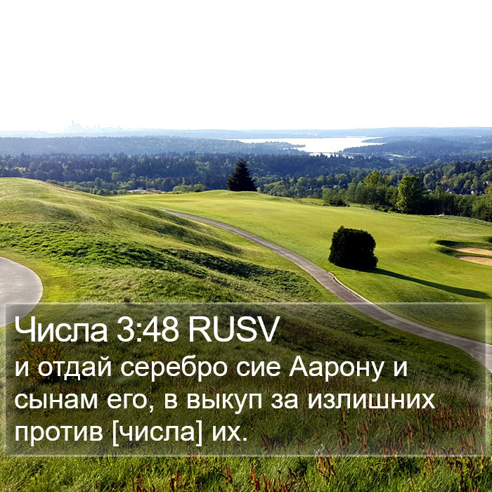 Числа 3:48 RUSV Bible Study