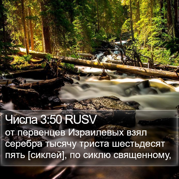 Числа 3:50 RUSV Bible Study