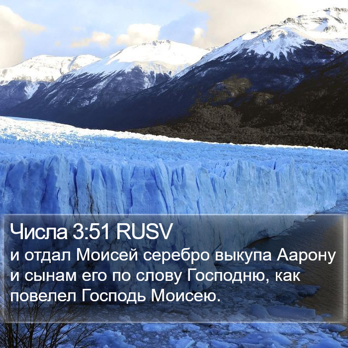 Числа 3:51 RUSV Bible Study