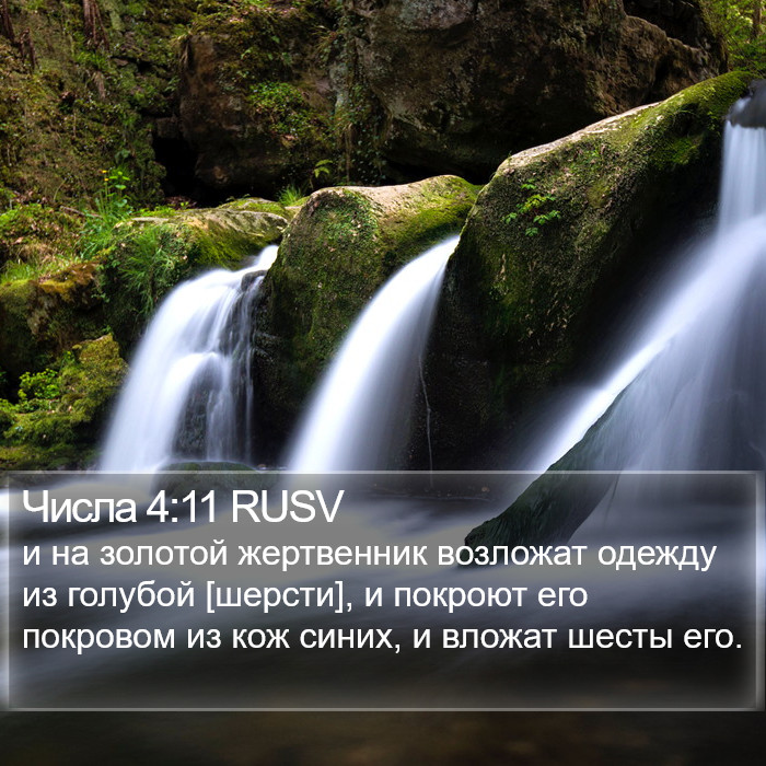 Числа 4:11 RUSV Bible Study