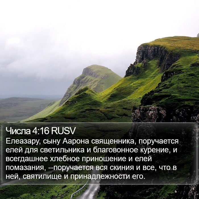 Числа 4:16 RUSV Bible Study