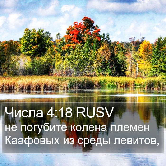 Числа 4:18 RUSV Bible Study