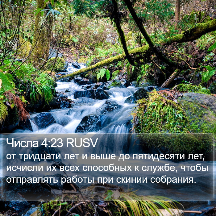 Числа 4:23 RUSV Bible Study