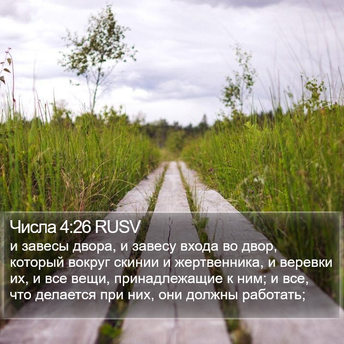 Числа 4:26 RUSV Bible Study