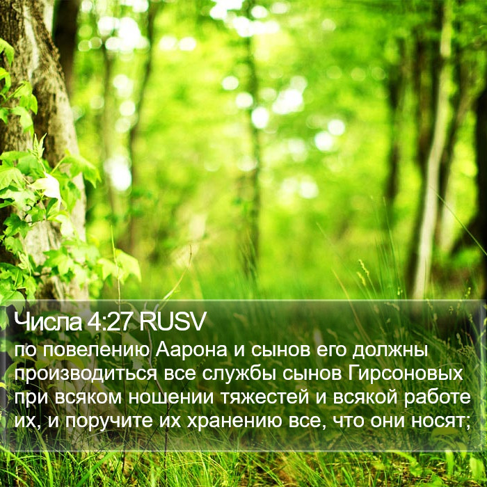 Числа 4:27 RUSV Bible Study