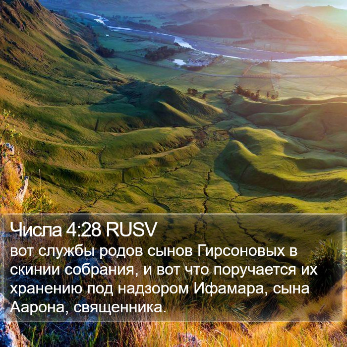 Числа 4:28 RUSV Bible Study