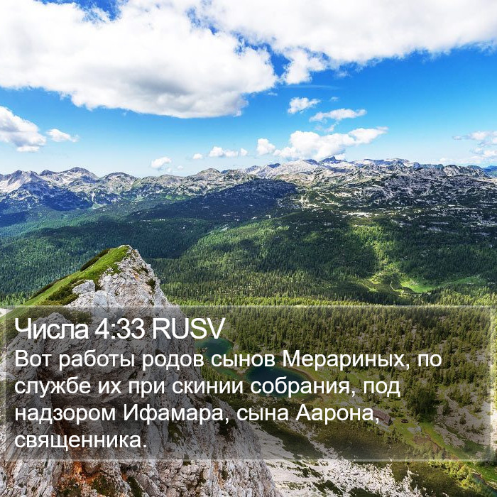 Числа 4:33 RUSV Bible Study