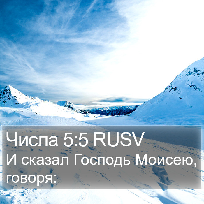 Числа 5:5 RUSV Bible Study