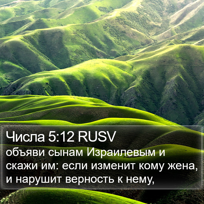 Числа 5:12 RUSV Bible Study