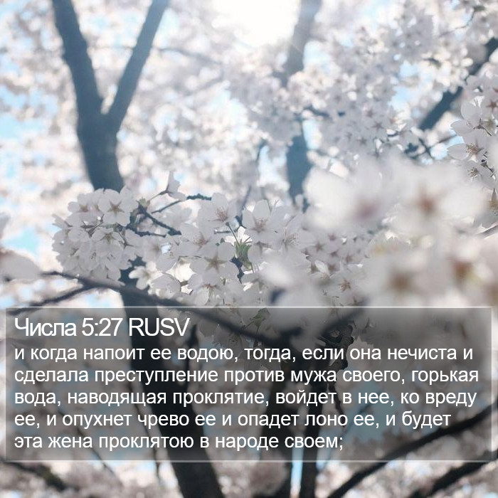 Числа 5:27 RUSV Bible Study