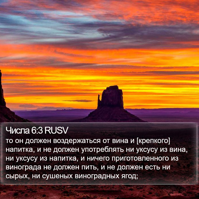 Числа 6:3 RUSV Bible Study