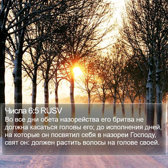 Числа 6:5 RUSV Bible Study