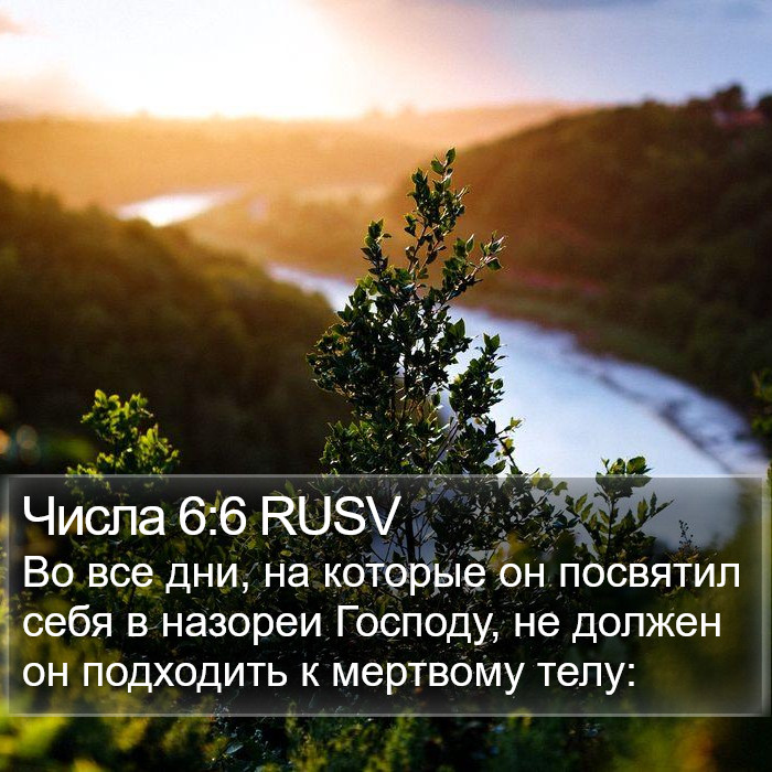 Числа 6:6 RUSV Bible Study