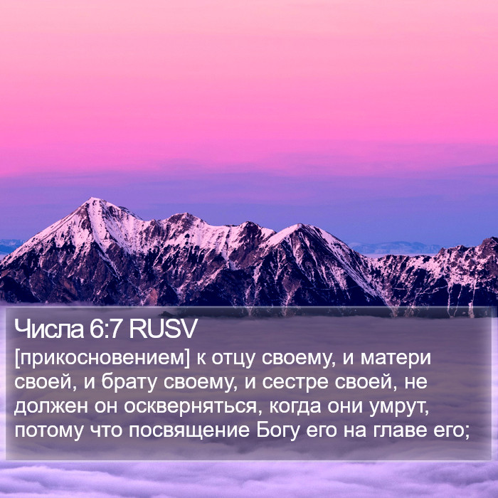 Числа 6:7 RUSV Bible Study