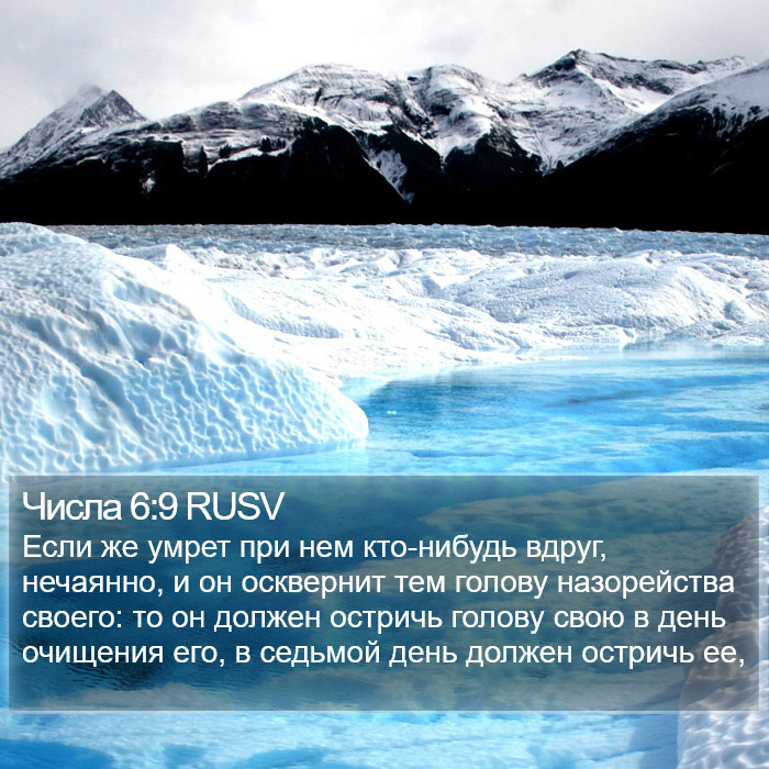 Числа 6:9 RUSV Bible Study