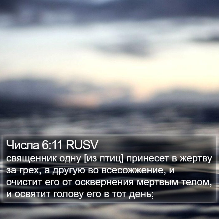 Числа 6:11 RUSV Bible Study