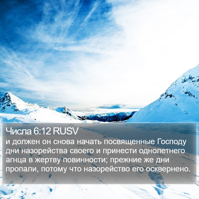 Числа 6:12 RUSV Bible Study