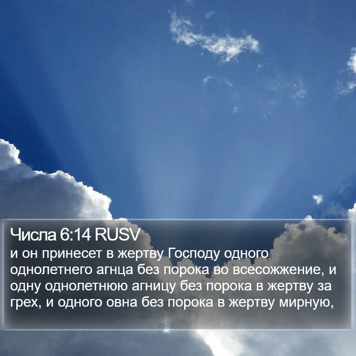 Числа 6:14 RUSV Bible Study