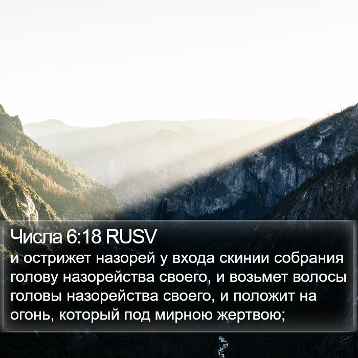 Числа 6:18 RUSV Bible Study