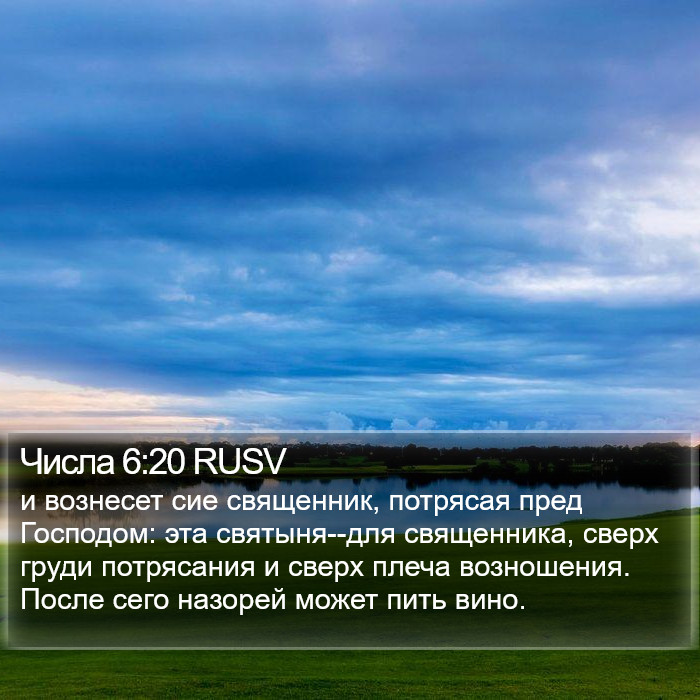 Числа 6:20 RUSV Bible Study