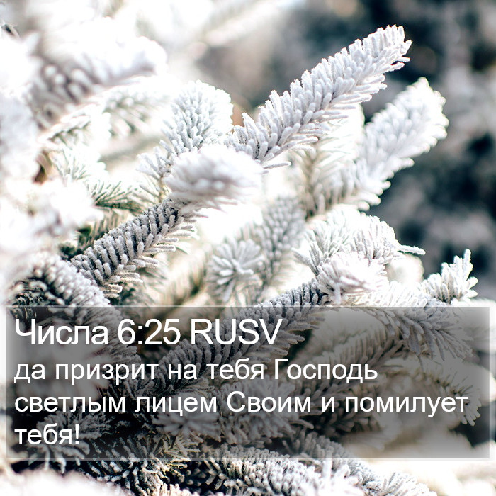 Числа 6:25 RUSV Bible Study