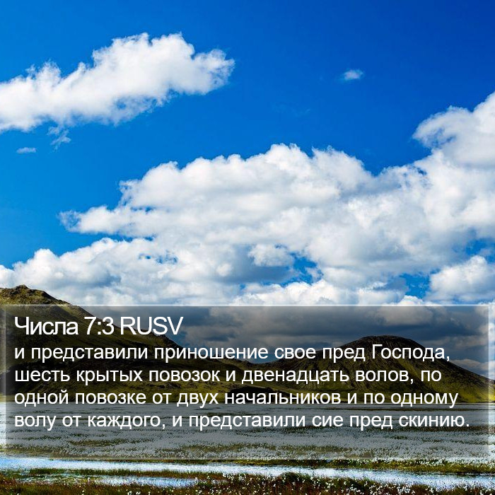 Числа 7:3 RUSV Bible Study
