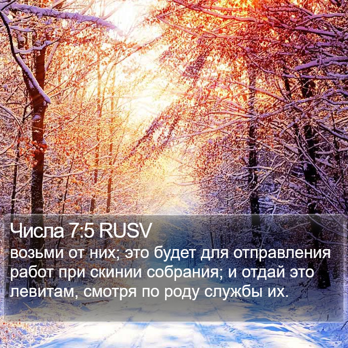 Числа 7:5 RUSV Bible Study